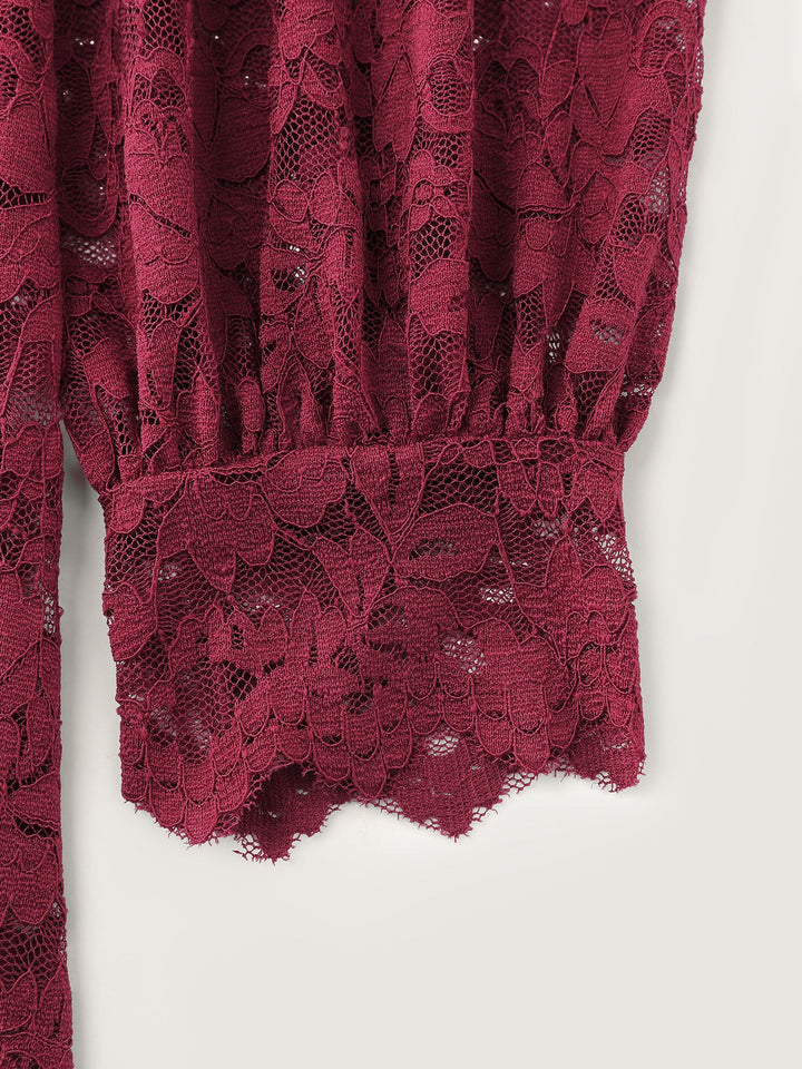 Spice It Up Sheer Lace Blouse