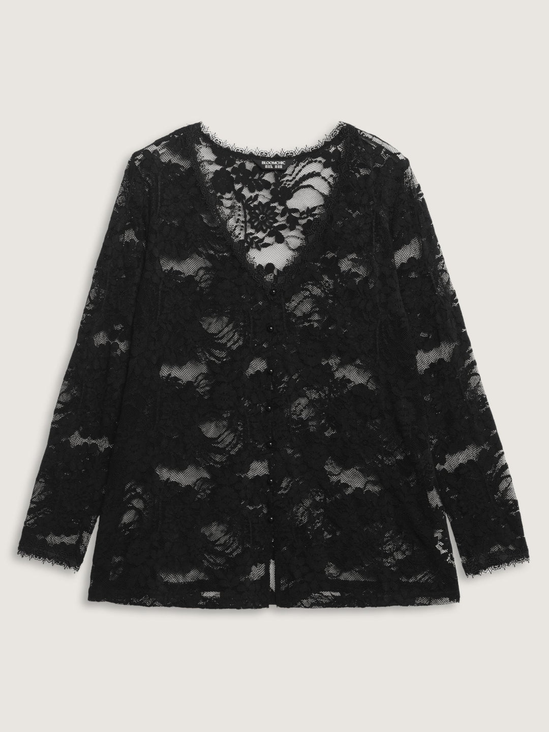 Sheer Lace Trim V-Neck Top