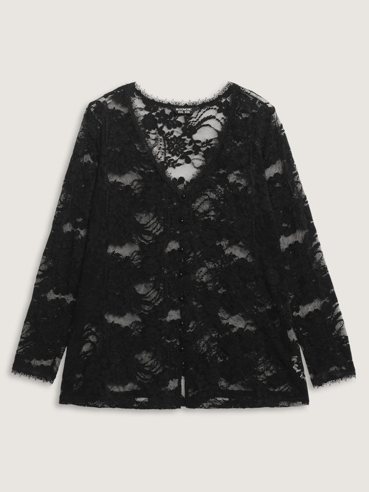 Sheer Lace Trim V-Neck Top