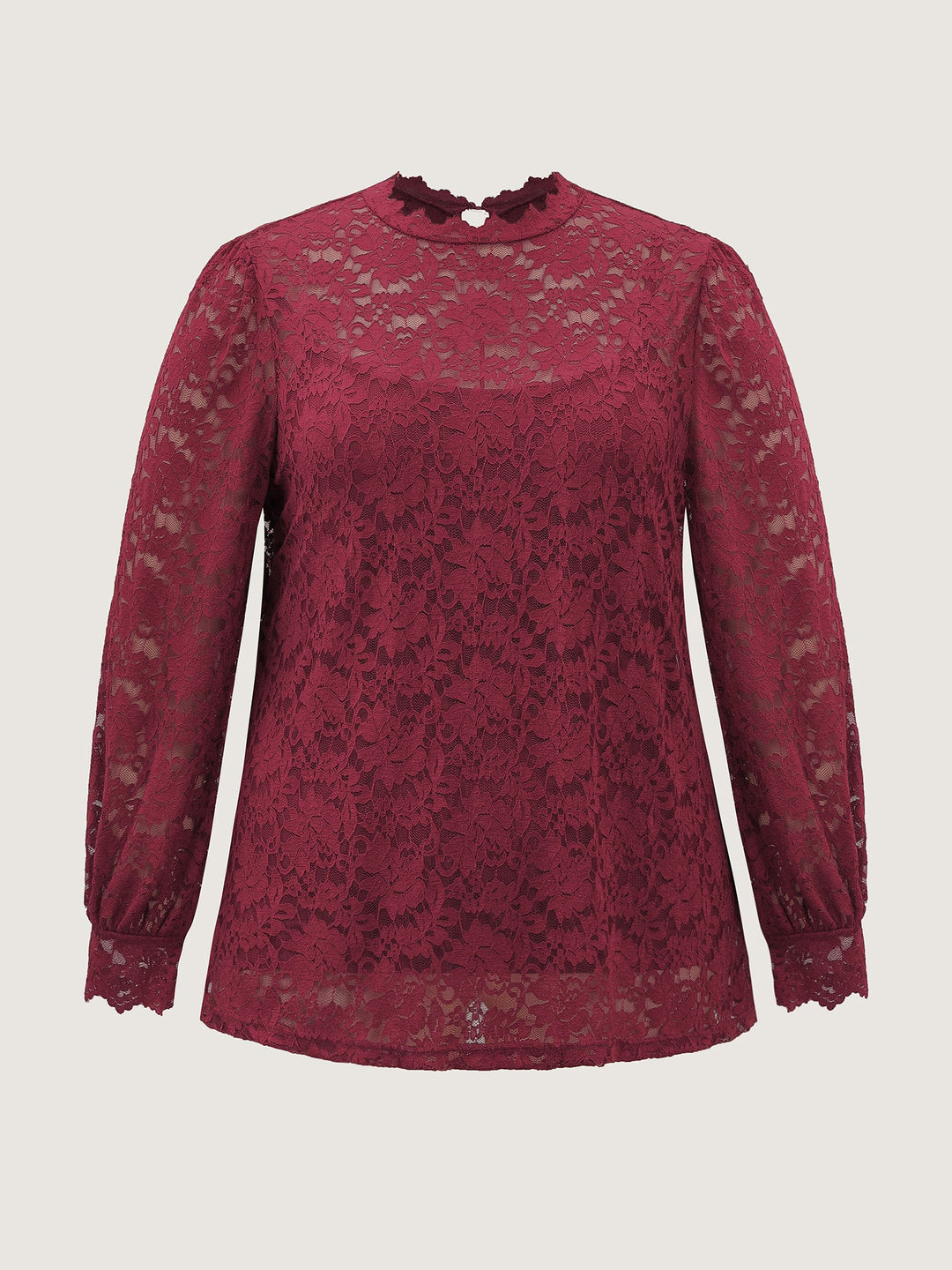 Spice It Up Sheer Lace Blouse